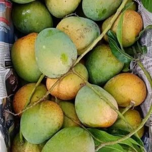 গোপালভোগ