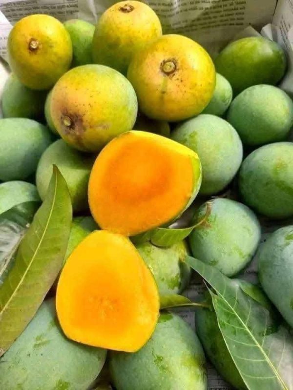 আম